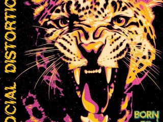 Born to Kill - Social Distortion Album Review